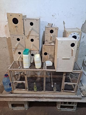Heyvanlar üçün mallar: Tutuquşular üçün qəfəs və yuvalar. Qəfəslər 60-40-40 olan türk — 3