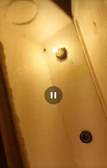 inkubator matoru: Ev şəraitində cücə/çəpər balası çıxarmaq üçün özəl hazırlanmış köpük — 3