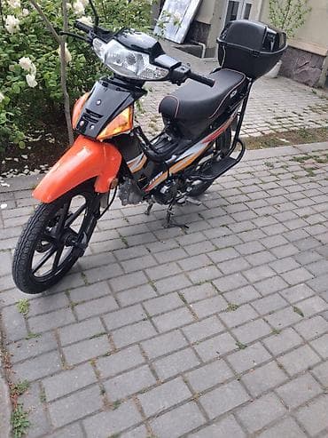 moto usta: Moon brand 50 sm3 — 6
