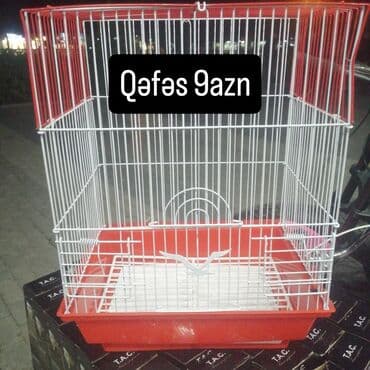 quş qəfəsləri: Qəfəs 9azn Valnisti Tutuquşu Qəfəsi 9azn Amadin Bülbül Qəfəsi 9azn — 16