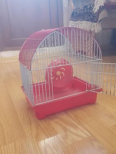 Другие животные