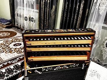 bakida velosiped satisi: Akustik Akkordeon — 4