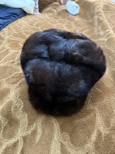 kişilər üçün qış papaqları: Kepka, rəng - Qəhvəyi — 1