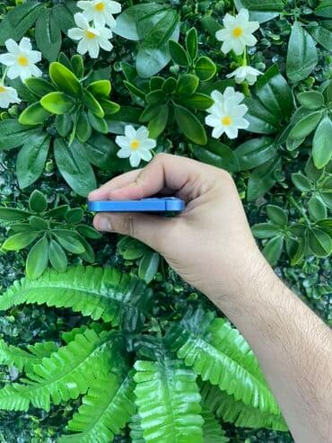 iphone 11 yigilma: IPhone 13, 128 GB, Göy, Simsiz şarj — 5