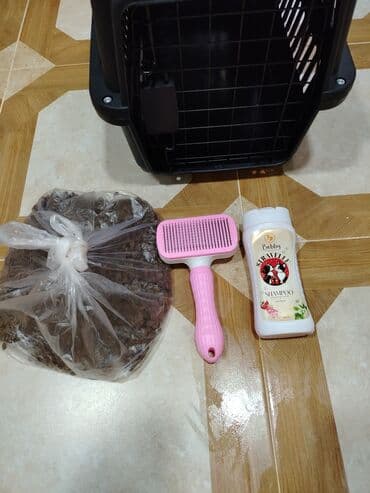 Yuvalar: Pişik üçün aksesuarlar dəsti - Daşınma üçün plastik daşıyıcı qutu — 3