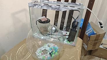 Salam artıq balıq saxlamıram deyə satıram 2 ədəd akvarium, hava — 3