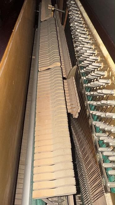 gitara balaca: Piano, Rönisch, Akustik — 4