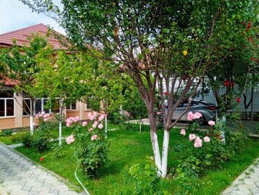сдается 3 комнатная квартира: 5 otaqlı — 19