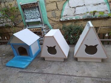 İtlər: Salam yuvalar 45-50 arası düşüb endirim dedi — 1