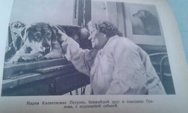 преступление и наказание: Продаются разные книги о знаменитых личностях: "Иван Павлов" 1952 год — 11