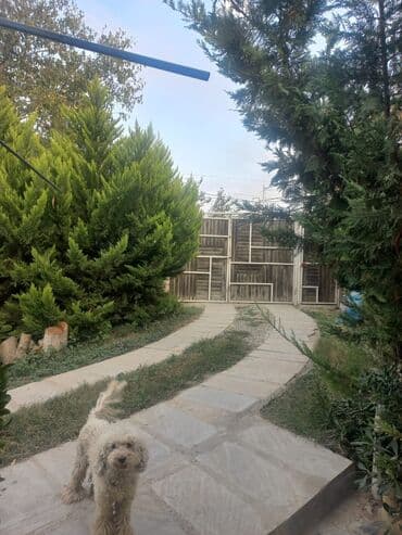 1 комнатные квартиры в баку новостройка: Yaşıl həyətli fərdi ev sahəsi 6 sot torpaq1 sot ev,2 otağ hazır — 1