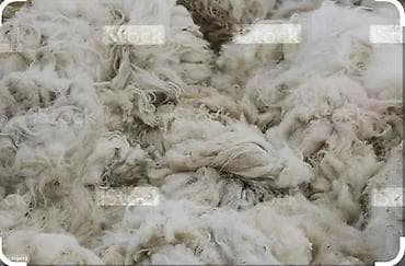 Heyvanlar üçün mallar: Qoyun yunu satılır.Çəkisi 800 kq.Hamısı bütöv şəkildə satılır.Real — 5