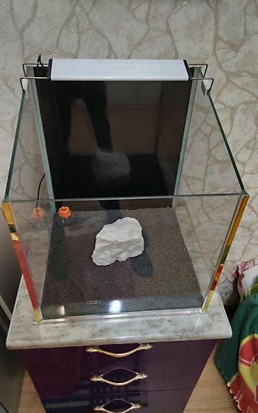 teze bazar akvarium: Akvaryum dəsti - Şüşə akvaryum: çərçəvəsiz, şəffaf şüşə, kvadrat — 2