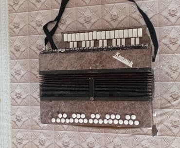 нитритная соль купить в бишкеке: Saz vəziyətdə di hec bir problemi yoxdu cantasi ilə satilir — 2