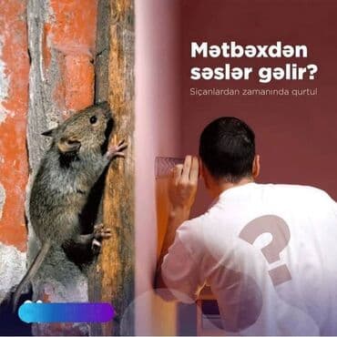 xalca yuma 1 50 azn 2023: Dezinfeksiya, dezinseksiya | Nəqliyyat — 19