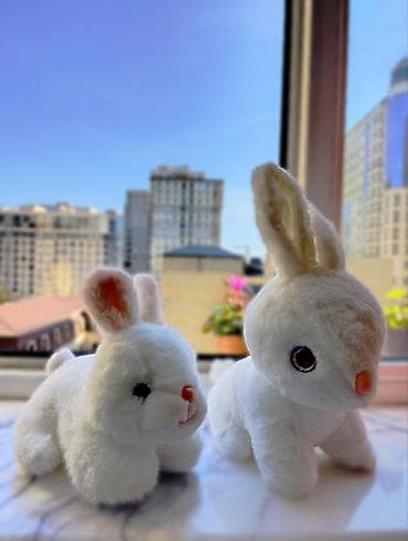 azerbaycan ikinci el: Oyuncaqlar — 8