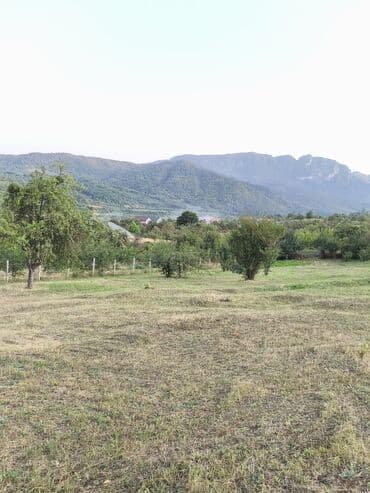 bulbulede torpaq: 40 sot, Tikinti, Mülkiyyətçi, Kupça (Çıxarış) — 8