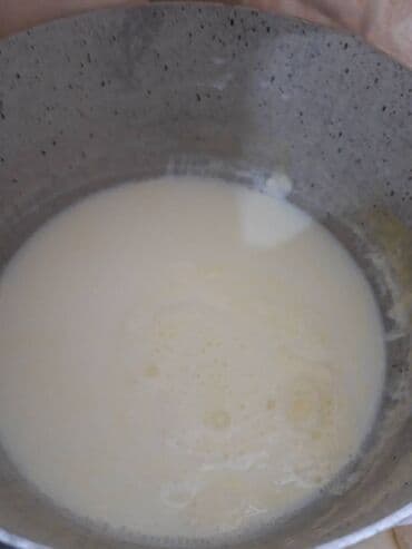 Üzlü inək pendiri satlır Həftəlik Alcı Axtarıram Çatdırılmada Münkündü