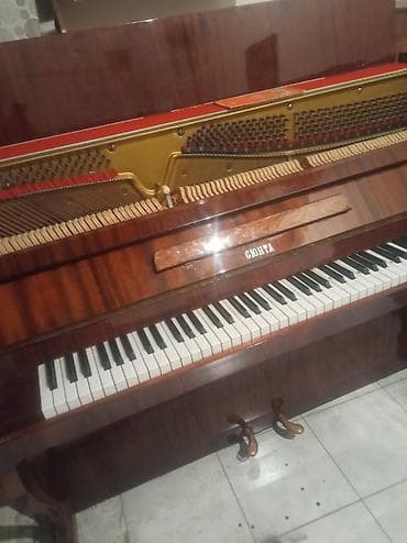 Fleytalar: Piano, Akustik, İşlənmiş, Ödənişli çatdırılma — 4