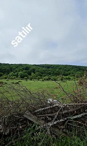 memar ecemi 3 otaqli evler: 13 sot, Tikinti, Mülkiyyətçi, Kupça (Çıxarış) — 3