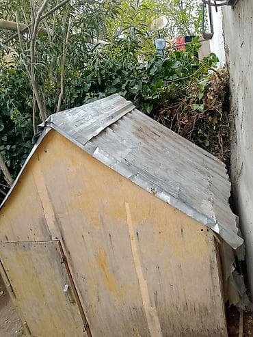 şirin pişikler: Taxta quş yuvası - Material: gövdə – möhkəm faner/taxta, dam – — 1