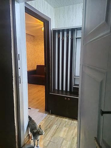 Xirdalanda aff park erazisinde 1 otaqli ev kiraye verilir icinde — 8