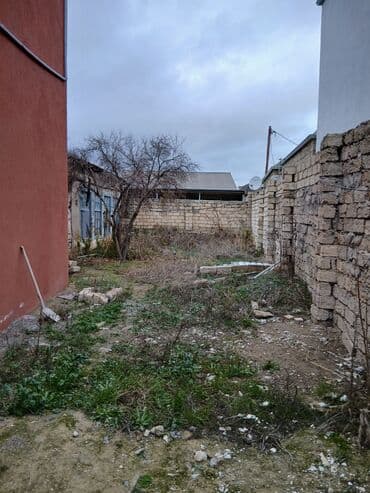 Mənzillər: 3 sot, Tikinti, Mülkiyyətçi, Kupça (Çıxarış) — 3