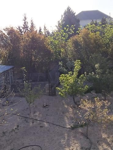 20 ci sahe ev: Satılır: geniş həyəti və işıqlı məkanları olan fərdi yaşayış evi - — 2