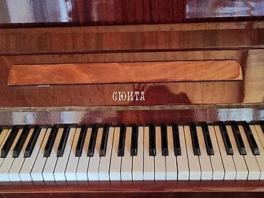gitara akustik: Gönya pianinosu – akustik, şaquli model. - Korpus: cilalı taxta — 1