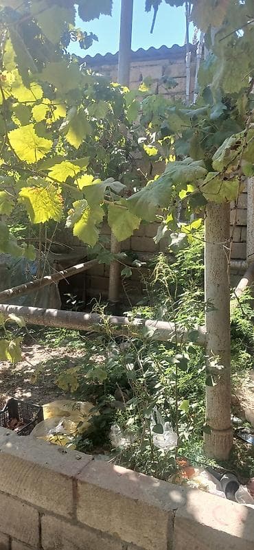unitazlar ucuz qiymete: Su cəni satılır çox qalın stekası var ayaqları ilə birlikdədə satılır — 2