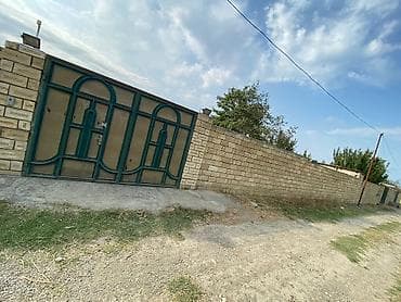 8 sot, Tikinti, Kupça (Çıxarış)