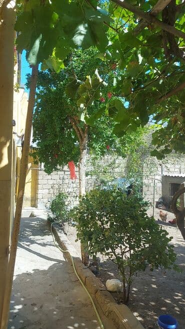 günəşlidə ev: Köhnə Günəşli 3 otaqlı, 100 kv. m, Kredit yoxdur, Yeni təmirli — 5