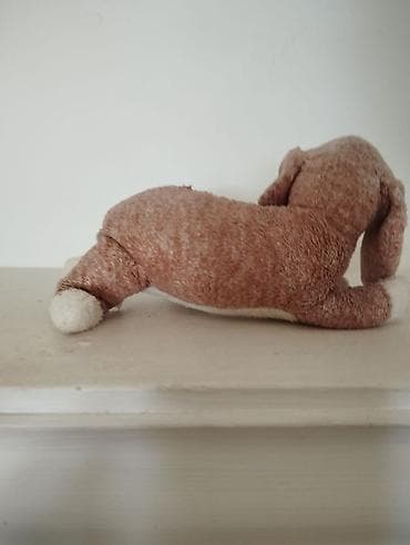 predo 3 nomre: İt oyunağı — 5