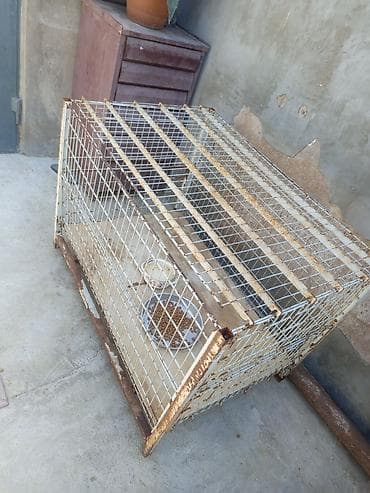 kiçik heyvanlar: Möhkəm metal qəfəs – heyvanlar üçün - Material: polad məftil karkas — 3