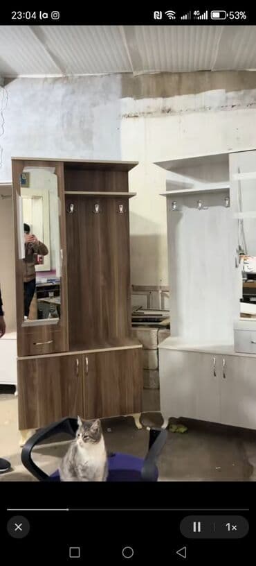 трюмо в прихожую: Прямой шкаф, Шкаф в прихожей — 13