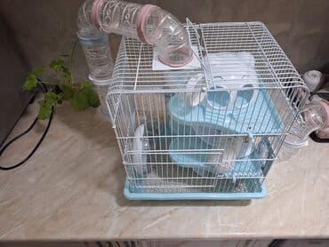 cuce qefes: Hamster üçün tam dəst qəfəs - Ölçü: kompakt masaüstü, çoxmərtəbəli — 2