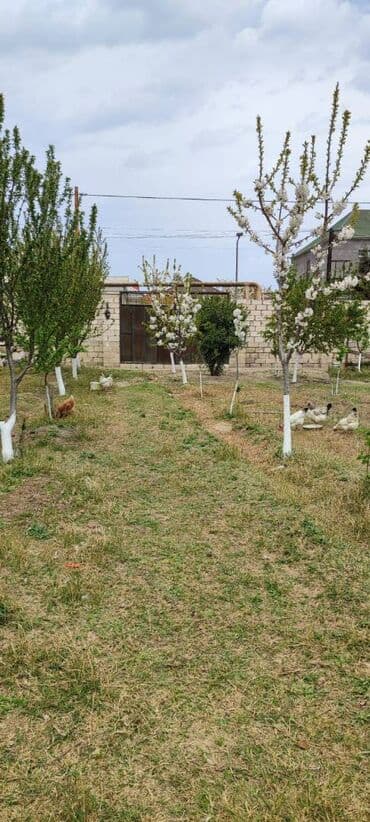 15 sot, Biznes üçün, Makler, Kupça (Çıxarış), Bələdiyyə lalafo.az -da 15 sot, Biznes üçün, Makler, Kupça (Çıxarış), Bələdiyyə