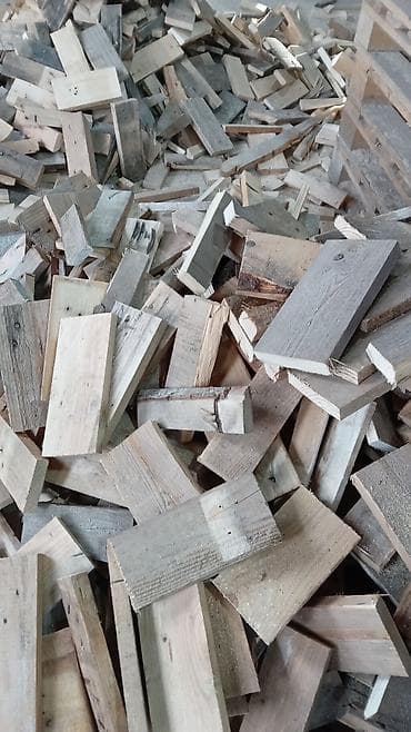 buynuzu: Odunlar meşoklarda, böyük meşok -3 man, balaca meşok- 2 man. Zabrat — 7