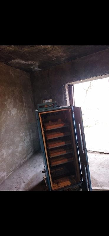 inkübatör: Sənaye tipli inkubator - Elektriklə işləyən, şaquli kabinet tipli — 1