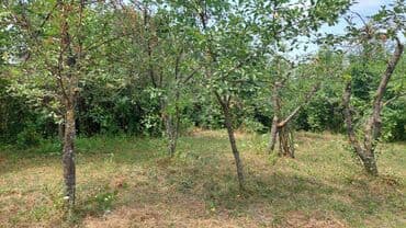 сайты недвижимости в баку: 16 соток, Для строительства, Собственник, Купчая — 6