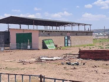 qebele: Haciqabulda ferma satılır.15 hektar.350kv.tikili.kənd tədərrüfatı — 5
