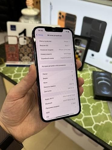 ipad mini 5 kredit: IPhone 12 Pro Max, 256 GB, Pacific Blue — 9