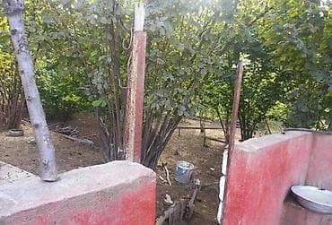 ağdaşda ev: 8 otaq, 220 kv. m, Kredit yoxdur, Orta təmir — 6