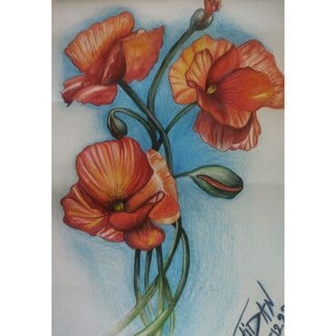 проигрыватель пластинок баку: Rəssam : Fidan Mahmudova Əsər : "Lalələr" (2022) Texnika : karandaş — 1