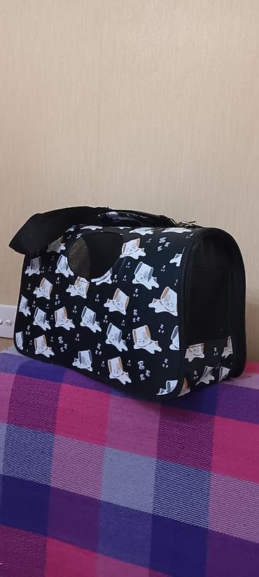 muhabbet kusu: Şotland, Dişi, Yaxşı əllərə — 5