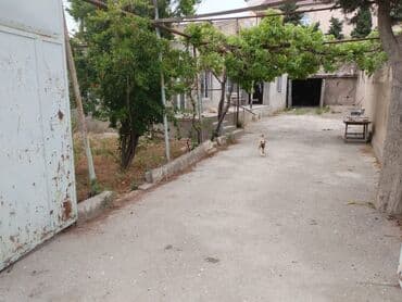 jasmin park qobu: Şüvəlan qəs. 8 otaq, 100 kv. m, Orta təmir — 6