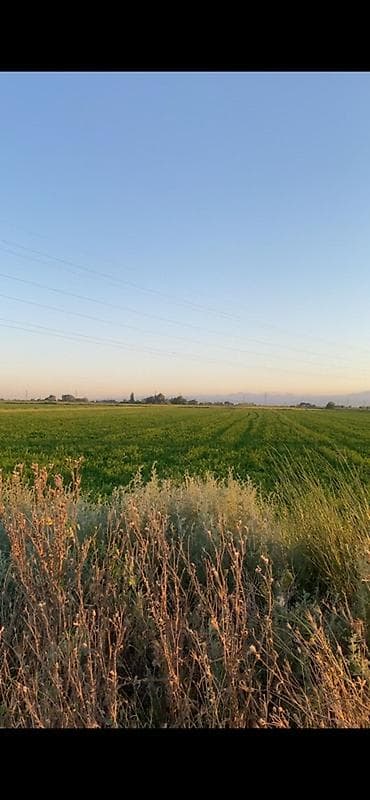 ucuz torpag: 400 sot, Kənd təsərrüfatı, Mülkiyyətçi, Kupça (Çıxarış) — 3