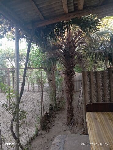 islenmis ev eşyaları satiram: 3-4 ilin ağacdi — 2