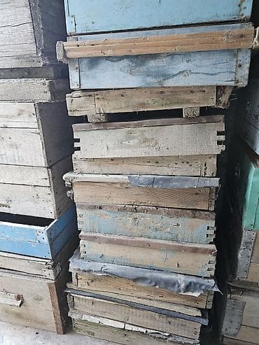 Arılar: Arı yeşikləri və künc dəmirləri satılır
Qiymet danisiq esasinda — 9