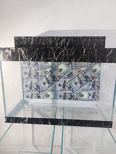 Şüşə akvarium – dekorativ “dollar” fonlu - Material: qalın temperli